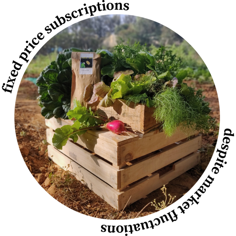 Fixed price subscriptions, despite market fluctuations