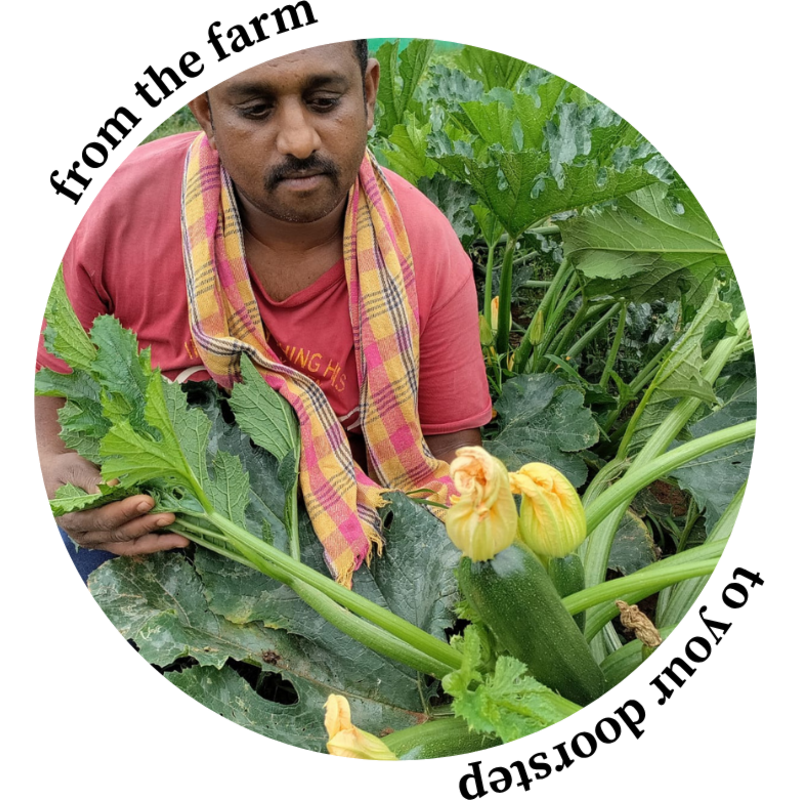 From the farm, to your doorstep