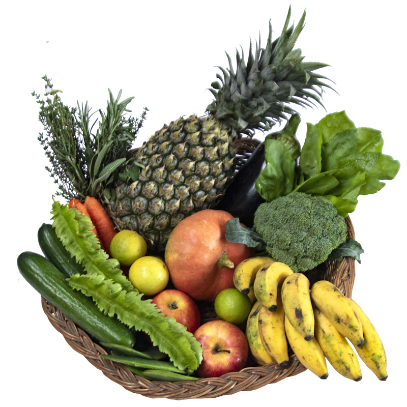 Mini Box ( No Staples ! )